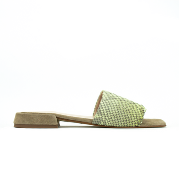 LOLA VERDE