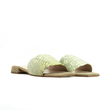 LOLA VERDE