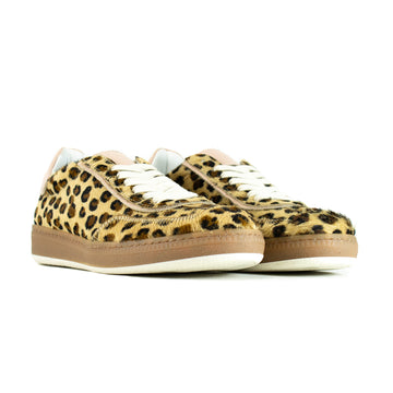 WILLOW CAVALLINO