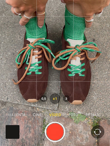 ASTER SERRAJE TESTA DI MORO